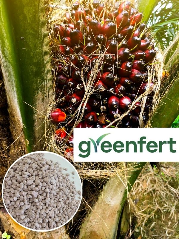 Greenfert Sdn. Bhd - NPK Fertilizers Wholesale Malaysia