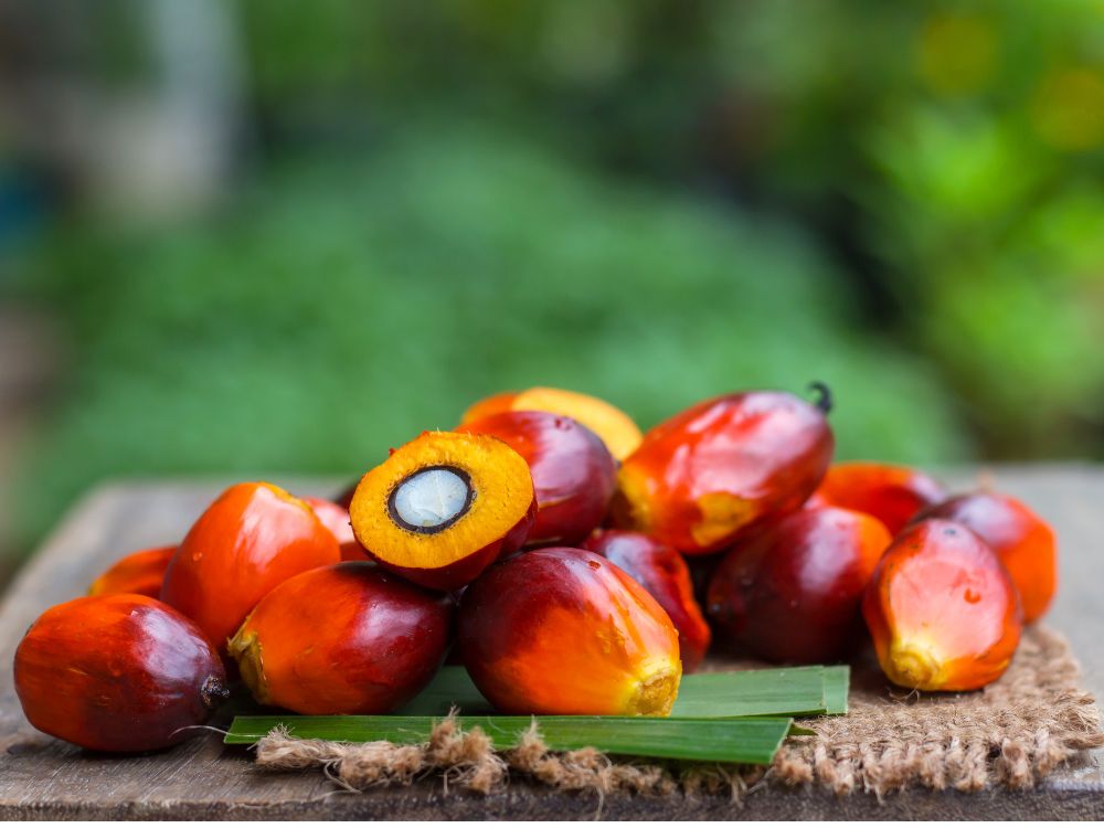 NPK Fertilizers Wholesale Malaysia